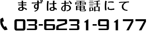 03-6231-9177